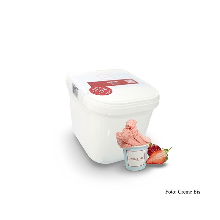Erdbeer Sorbet vegan, Creme Eis, 2,5 l