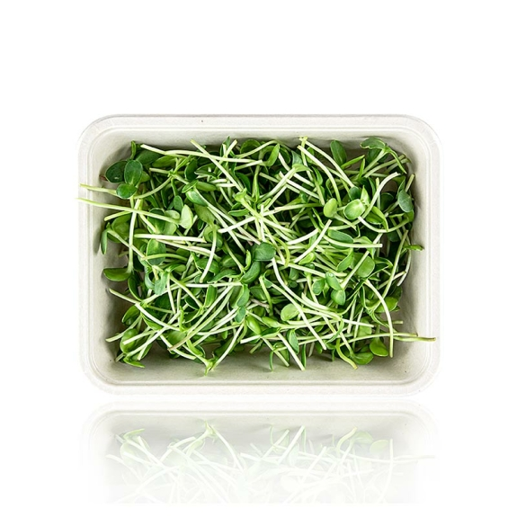 Sonnenblume Microgreens
					ganz junge Bl&auml;tter / Keimlinge, vollgepackt, 100 g
				