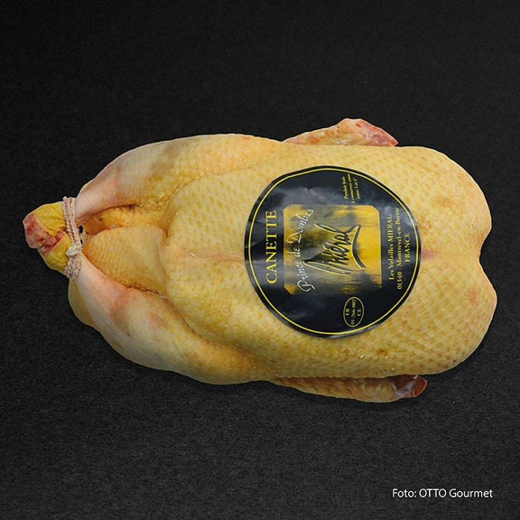 Mieral Barbarie Ente, ganz Le Prince de Dombes, bratfertig, Otto Gourmet, 1,6 kg