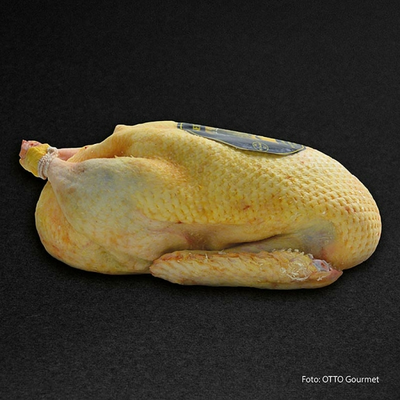 Mieral Barbarie Ente, ganz
					Le Prince de Dombes, bratfertig, Otto Gourmet, 1,6 kg
				