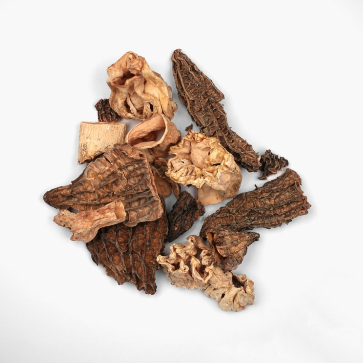 Spitzmorchelbruch Getrocknet, 60 % Köpfe & 40 % Stiele, Schwarze Dose, 15 g