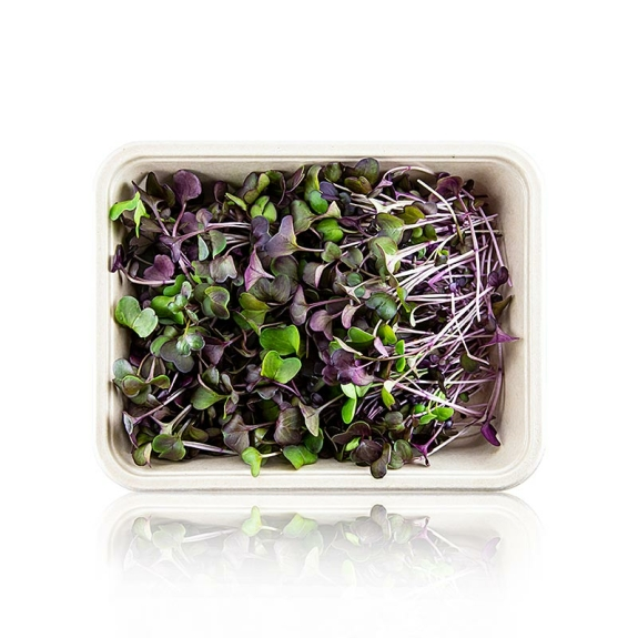 Radieschen Rot Microgreens
					ganz junge Bl&auml;tter / Keimlinge, vollgepackt, 100 g
				