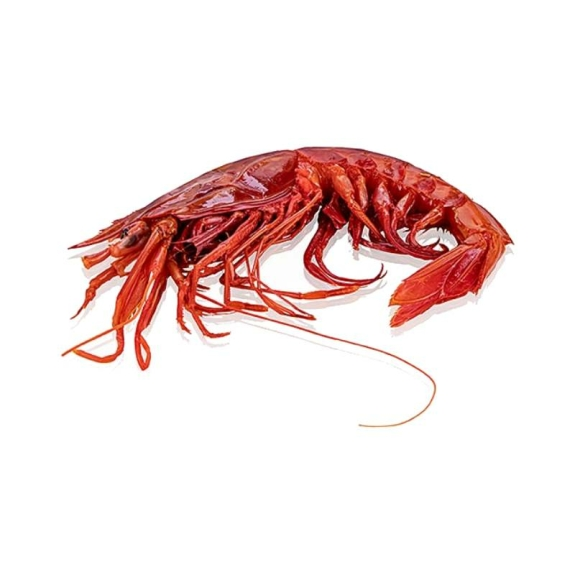 Tiefseegarnele Carabiniero 0
					Wildfang, 1 kg
				