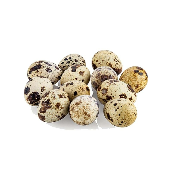 Wachteleier
					Vogelsberger, 12 St&uuml;ck
				