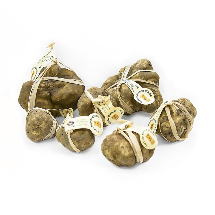 Weißer Alba Trüffel mit Zertifikat, 70 g