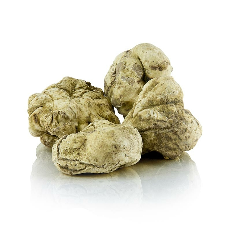 Weißer Trüffel tuber magnatum pico, Italien,La bilancia - Tartufi di qualita, 50 g