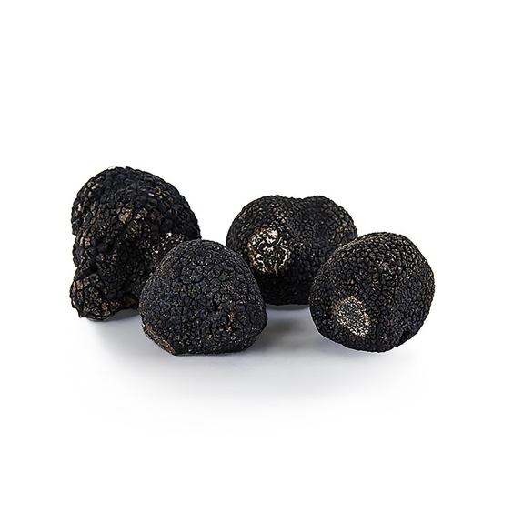 P&eacute;rigord Tr&uuml;ffel
					Winter-Edeltr&uuml;ffel Extra, Frankreich, 30 g
				