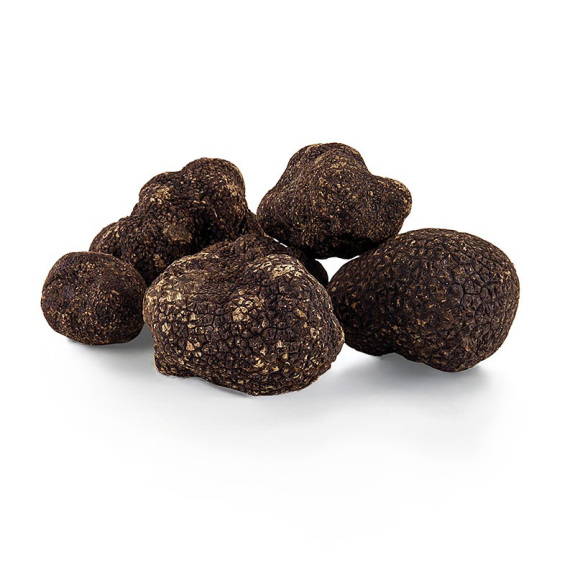 P&eacute;rigord Tr&uuml;ffel
					Winter-Edeltr&uuml;ffel, Frankreich, 20 g
				