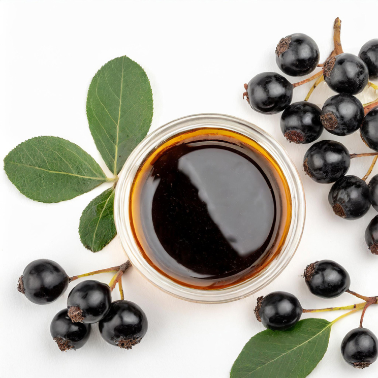 Aroniabeeren Balsam Creme 500 ml