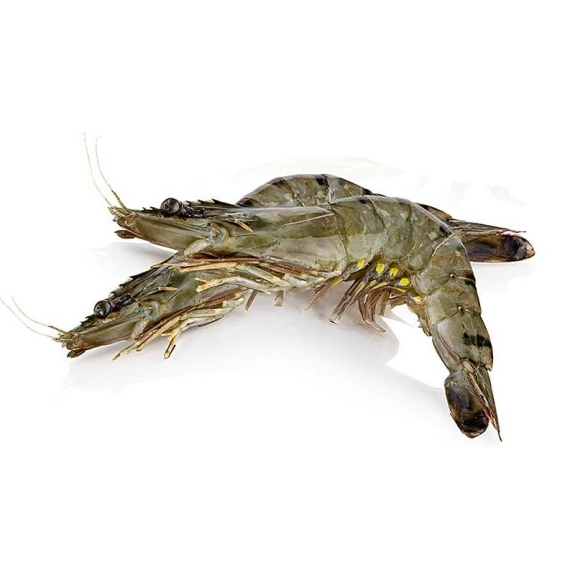 Black Tiger Garnelenmit Kopf, mit Schale
					ca. 13-15 St&uuml;ck, Gourmaitre, 1 kg
				