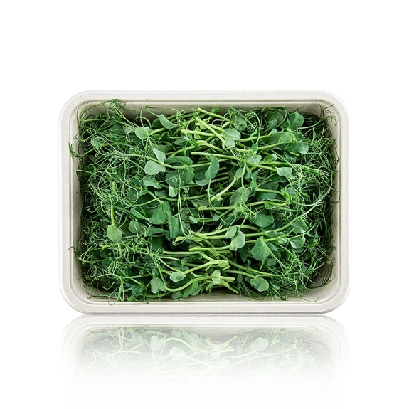 Erbsen Microgreens
					ganz junge Bl&auml;tter / Keimlinge, vollgepackt, 100 g
				