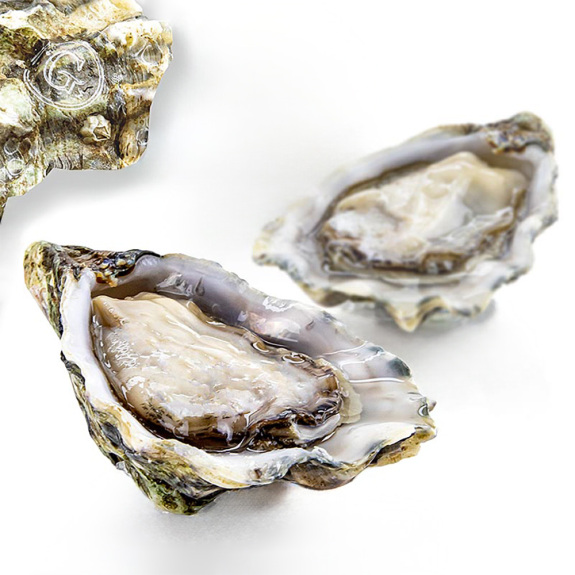 Gillardeau Austern No 2
					24 St&uuml;ck
				