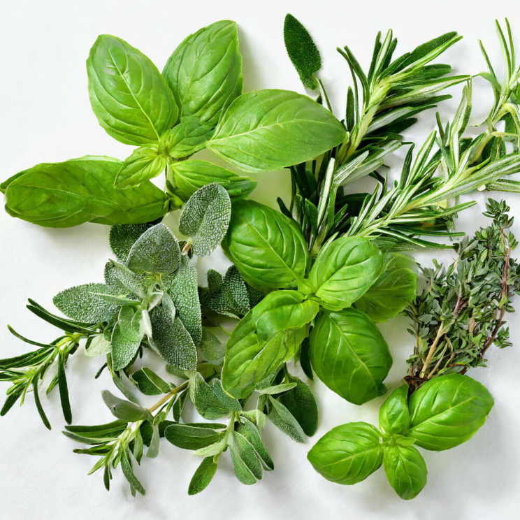 Kräuteröl Mediterran Basilikum, Oregano, Rosmarin, Salbei, Thymian, 250 ml