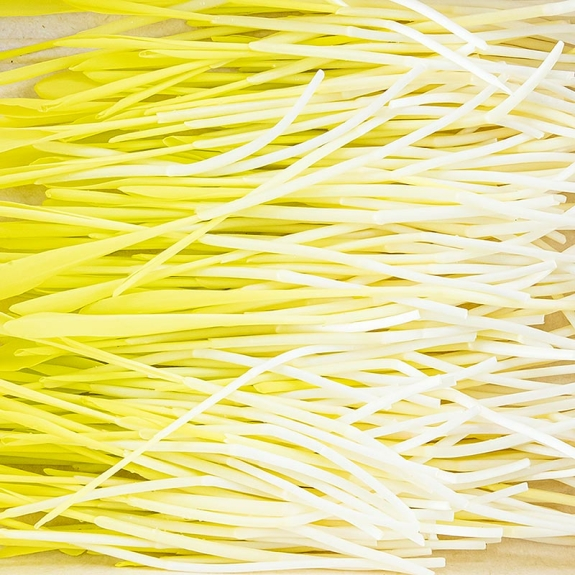 Mais Microgreens
					ganz junge Bl&auml;tter / Keimlinge, vollgepackt, 50 g
				