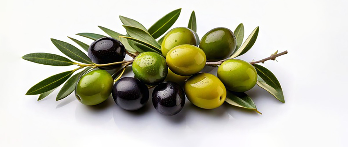 Was ist das beste Olivenöl?