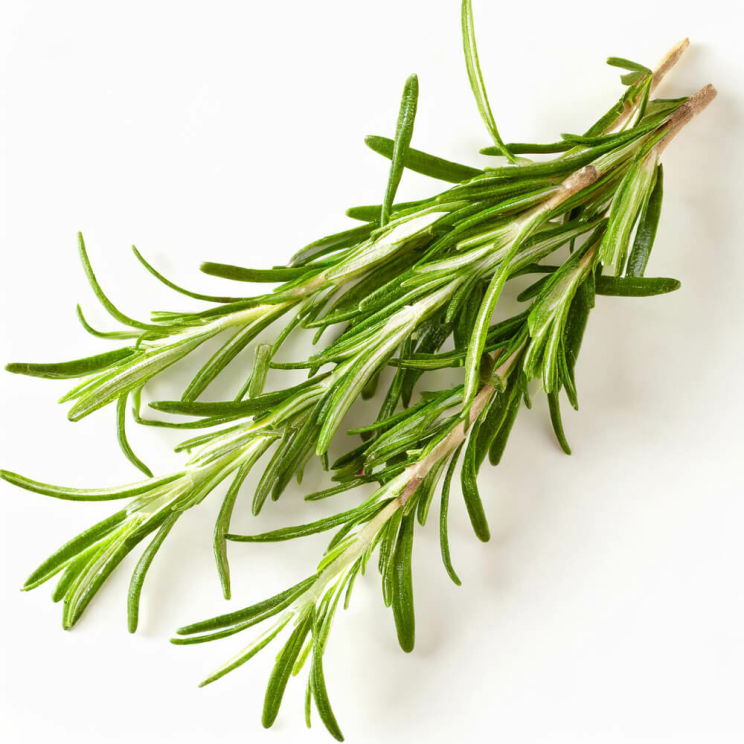 Rosmarinöl Rapsöl, 500 ml