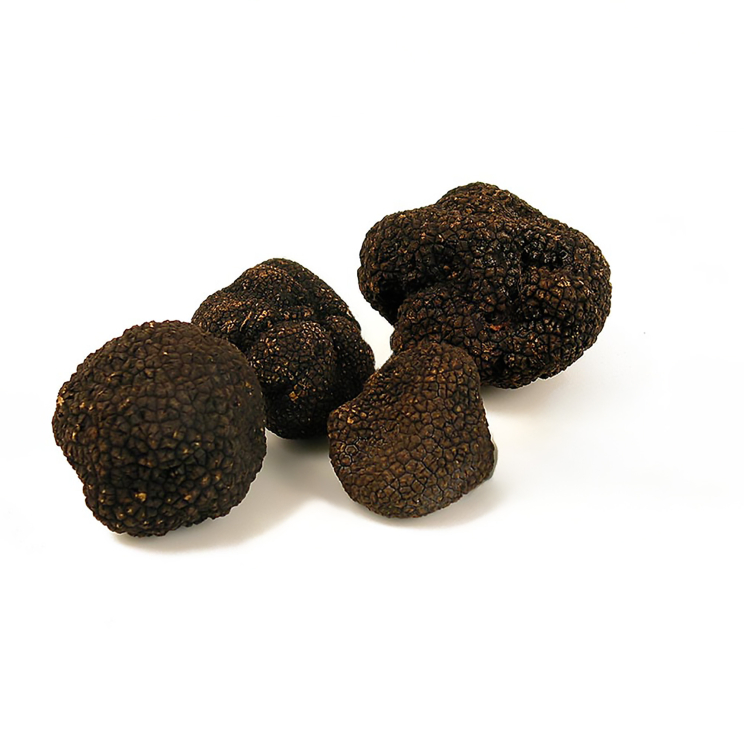 Sommertrüffel/BurgunderTrüffel Italien, 120 g