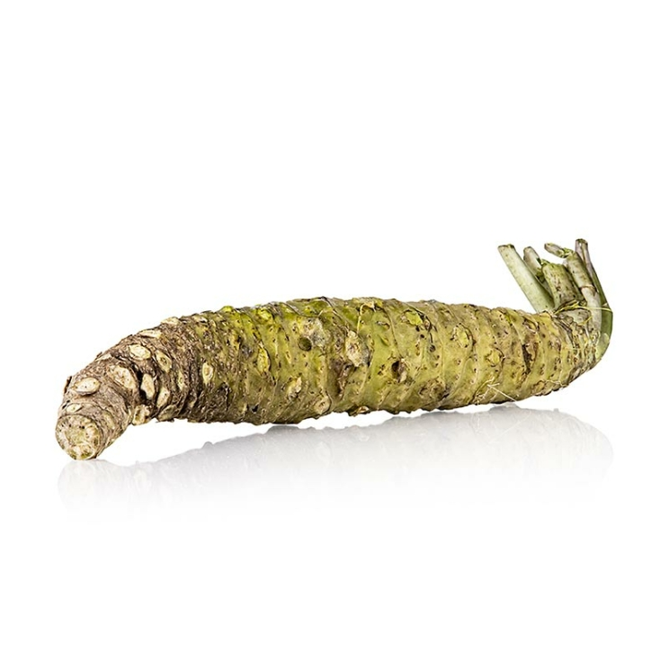 Frischer japanischer Wasabi ganz, 120 g