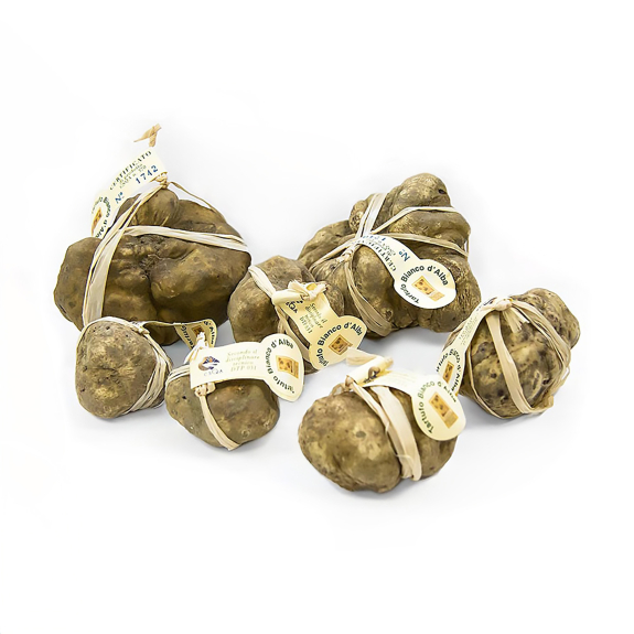 Wei&szlig;er Alba Tr&uuml;ffel
					mit Zertifikat, 40 g
				