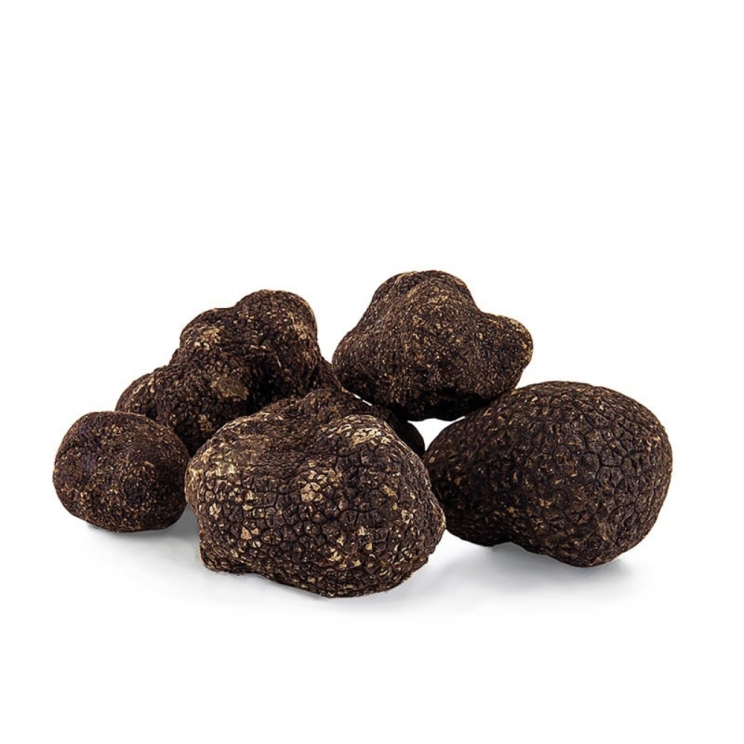 Périgord Trüffel Winter-Edeltrüffel, Frankreich, 20 g