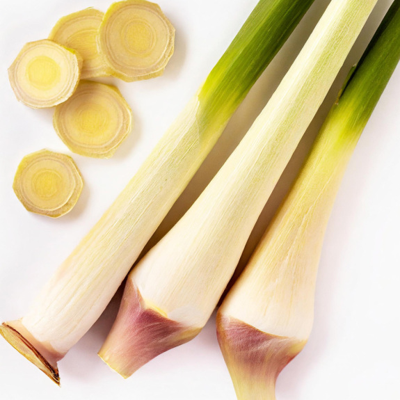 Zitronengras&ouml;l
					Raps&ouml;l, 500 ml
				