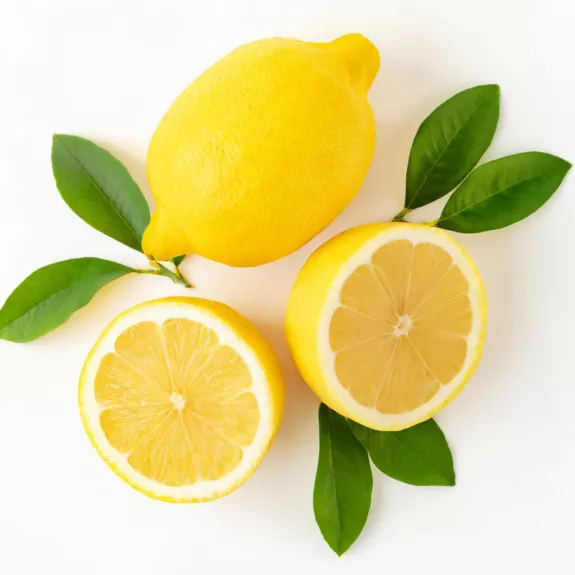 Zitronen&ouml;l
					Raps&ouml;l, 500 ml
				